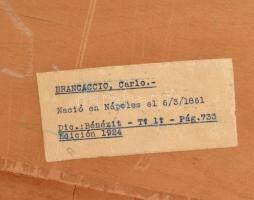 Carlo Brancaccio (1861-1920): Nápoly környéki táj. Olaj, vászon, jelezve balra lent. Dekoratív, régi...