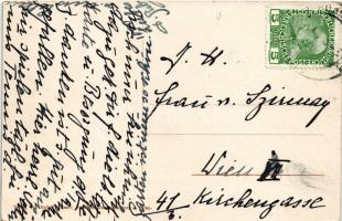 Maribor, Marburg a. d. Drau; Franziskaner Kirche / church, street vendor