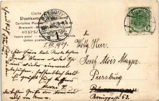 1907 Wien, Vienna, Bécs XXI. Floridsdorf. Gruss aus montage (EK)