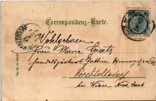 1903 Cieszyn, Teschen; Demelplatz, Schloss mit Olsabrücke, Ostschles. Bäuerin / square, castle, brid...