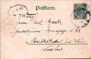 1903 Cieszyn, Teschen; general view, bridge. Art Nouveau, floral, litho (fl)