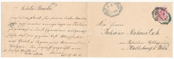 190 Gmünd. Verlag J. Koppensteiner Art Nouveau, floral - 2-tiled folding panoramacard