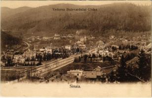 Sinaia, Vedere Bulevardului Ghika