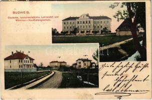 1908 Ceské Budejovice, Budweis; Deutsche, landwirtschaftliche Lehranstalt und Mädchen-Haushaltungsschule / schools (fl)