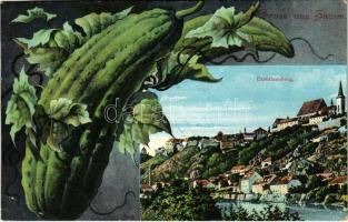 1906 Znojmo, Znaim; Carolinenberg. Verlag Josef Wondratsch. Montage with giant cucumber (EB)