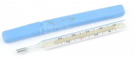 Régi higanyos lázmérő műanyag tokban