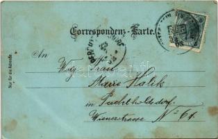 1903 Piesting, Bierbrauerei Josef Lehn, Piesting mit hohe Wand und Ruine Starhemberg / brewery, beer...