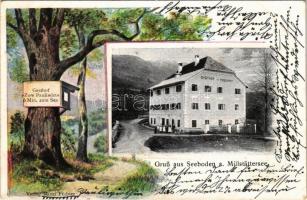 1903 Seeboden am Millstätter See (Kärnten); Gasthof zum Pauliwirt / inn, hotel and restaurant. Verlag Mizzi Fechter. Art Nouveau Emb. frame (EK)