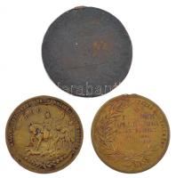 Vegyes: 1894. "Kossuth Lajos / Dicső korszak lánglelkű alkotója" bronz emlékmedál fül nélk...