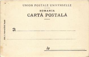 Sinaia, Hotel Caraiman, industrial railway line, cargo trains (EK)