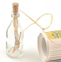 Gál Judit: Palackposta. Napló egy világkörüli útról. Szerényi Gábor rajzaival. hn., 1998., Equator K...