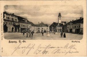 1903 Aspang, Marktplatz / market square, shops, man with bicycle. Verlag Alois Pelnitschar Nr. 281.