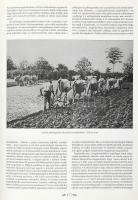 Magyarország agrártörténete. Agrártörténeti tanulmányok. Szerk.: Orosz István, Für Lajos, Romány Pál...