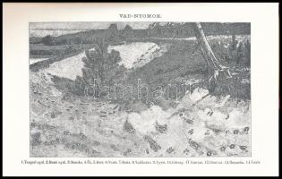 Cserszilvásy Ákos: A vadászat mestere. Önképző gyakorlati útmutatás a vadászat kedvelői számára. Bp....