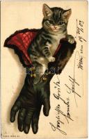 1903 Macska kesztyűben / Cat in gloves. K. & B.D. Serie 911. litho