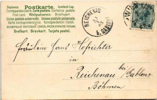 1903 Macska kesztyűben / Cat in gloves. K. & B.D. Serie 911. litho