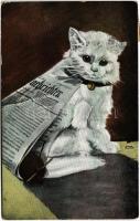 1903 Macska újsággal / Cat with "Nachrichten" newspaper. E.S.D. 872. (EK)