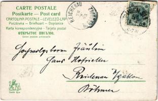 1903 Macska újsággal / Cat with "Nachrichten" newspaper. E.S.D. 872. (EK)