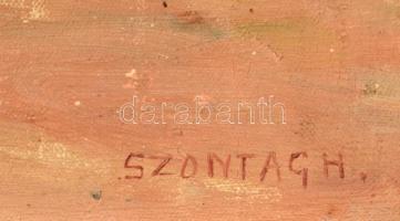 Szontágh Tibor (1873-1930): Napfényes udvar. Olaj, vászon, jelzett. Dekoratív, kissé sérült fakeretb...