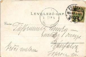 1904 Pozsony, Pressburg, Bratislava; Hajós egylet, Szecessziós erdős keret / Ruder Klub / rowing clu...