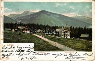 1903 Matlárháza, Matliary, Tatranské Matliare (Magas-Tátra, Vysoké Tatry); nyaralók. Feitzinger Ede 509. 1902/12. / villas (EK)