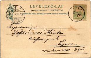 1903 Matlárháza, Matliary, Tatranské Matliare (Magas-Tátra, Vysoké Tatry); nyaralók. Feitzinger Ede ...