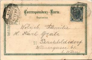 1904 Abbazia, Opatija; Hotel Stefanie, Hotel Quarnero, Abbazia von Süden, Partie an der Küste, Palme...