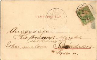 1903 Csabrendek, Fő tér, Hatzky kastély, Barcza és Lőb épületei, nagyvendéglő, gyógyszertár