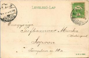 1907 Szenttamás, Bácsszenttamás, Srbobran; mezőgazdasági munkák, aratás, cséplőgép, kikötő / harvest...