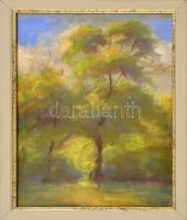 Bertalan Rózsa (1900-1987): Erdei fák. Pasztell, papír, jelzés nélkül, üvegezett keretben, 29,5x19,5 cm