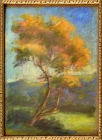 Bertalan Rózsa (1900-1987): Magányos őszi fa. Pasztell, papír, jelzés nélkül, dekoratív, üvegezett keretben, 32x23 cm
