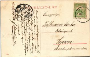 1907 Miszla (Tolna), Fő utca (EK)