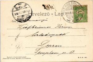 1908 Nyergesújfalu, Eternit Művek Hatschek Lajos gyára, iparvasút