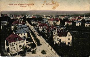 1917 Dresden, Klotzsche-Königswald, Querallee, Totalansicht / general view, villas (fl)