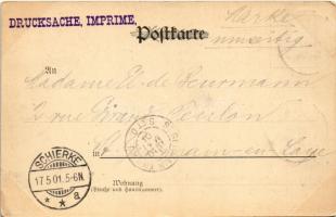 1901 Schierke (Harz), general view (EK)