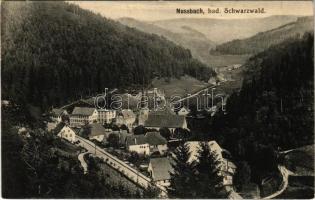 1915 Nussbach, general view (EK)