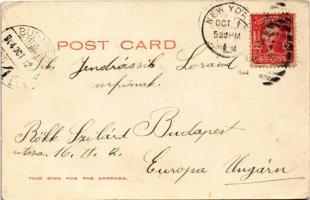 1904 New York, Zoological Park. Crawshay's Zebra. N.Y. Zoological Society (small tear)