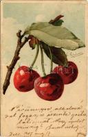 1907 Cherries. Meissner & Buch Künstler-Postkarten Serie 1212. Aus dem Obstgarten litho s: C. Klein (EK)