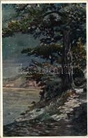 1916 Landscape art postcard. Z.U.N. 8. s: K. Masek (fa)