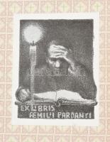 Novum Testamentum Graece et Latine. [Újtestamentum görög és latin nyelven]. Utrumque textum cum appa...