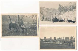 7 db RÉGI első világháborús osztrák-magyar katonai fotó hagyatékból, feliratozva / 7 pre-1945 WWI K....