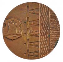 1979. "Balassagyarmat határőr város" kétoldalas, öntött bronz emlékérem (86mm) T:1-