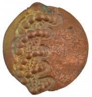 Rajki László (1939-) 1987. "Dr. Kaáli-Nagy Géza biológiai tehetségtámogató, Orosháza 1987."...