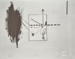 Nightmare Works: Tibor Hajas. An Exhibition Organized by Steven S. High. Essays by László Beke, John...