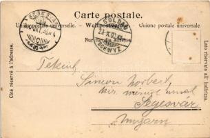 1900 Goldau, Bahnhof / railway station (cut)