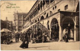 1913 Padova, Piazza delle Erbe / fruit market