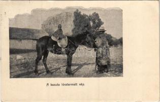 1912 A bazuto lóra termett nép. Megrendelhető a Visszhang Afrikából irodájában / African folklore from Basutoland (Lesotho)