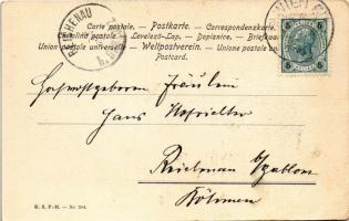 1902 Kislány macskával / girl with cat. K.S.P.M. Nr. 304. (EK)