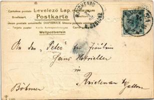 1902 Éneklő macska / Singing cat. Floral, Emb. litho (EK)