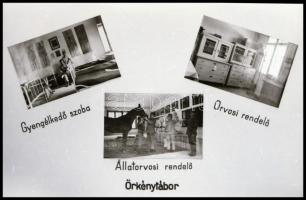 Örkénytábor - katonai tábor, fotóalbum repró negatívja, 11 kisfilm kocka tekercsben